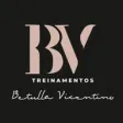 BV Treinamentos BV Treinamentos