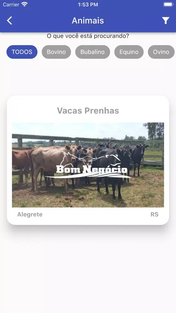 Tangkapan layar app Bom Negócio