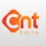 CNT Fibra
