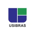 Leilão Usibras
