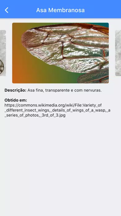 تصاویر Artropopédia - Biologia