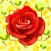 Mensagens e Frases com Flores