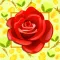 Mensagens e Frases com Flores