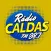 Rádio Caldas FM 98,7 MHz