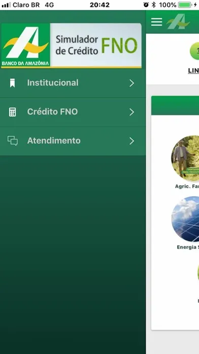 Simulador de Crédito FNO Ekran Görüntüleri