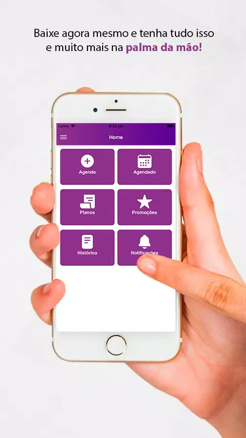 Belle Software Clientes Screenshots