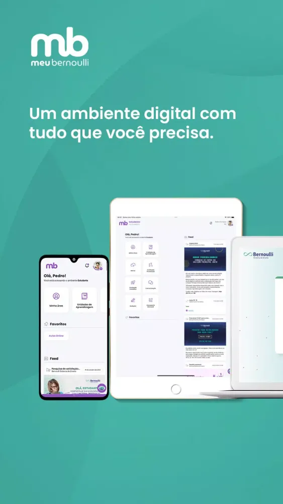 Meu Bernoulli 4.0 Screenshots