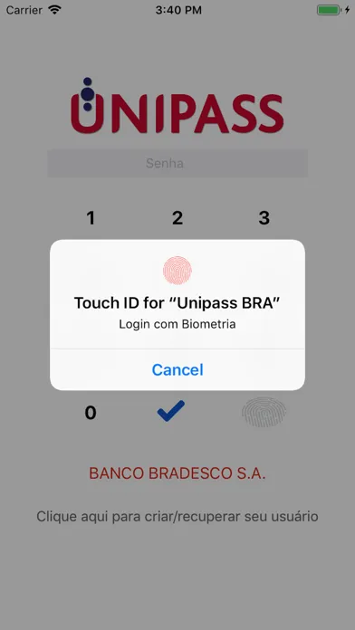Capturas de pantalla de UNIPASS BRA