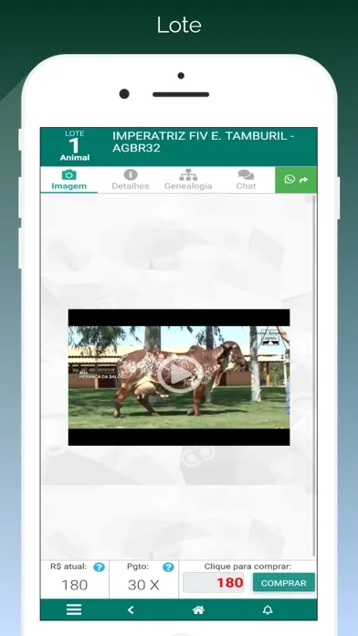 Capturas de pantalla de Canal do Campo Leilão