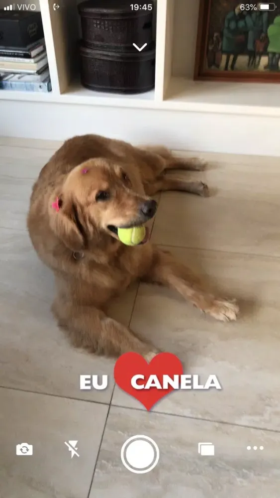 تصاویر Guia de Canela App
