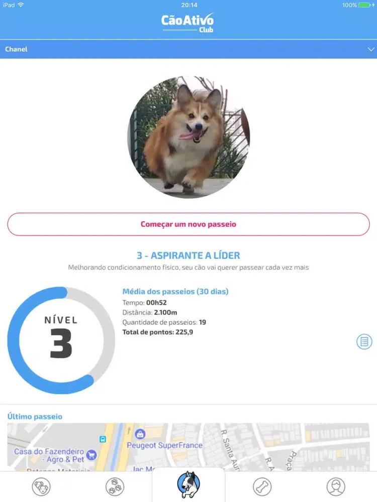 CãoAtivo Club - Dog Walker iPad 应用截图