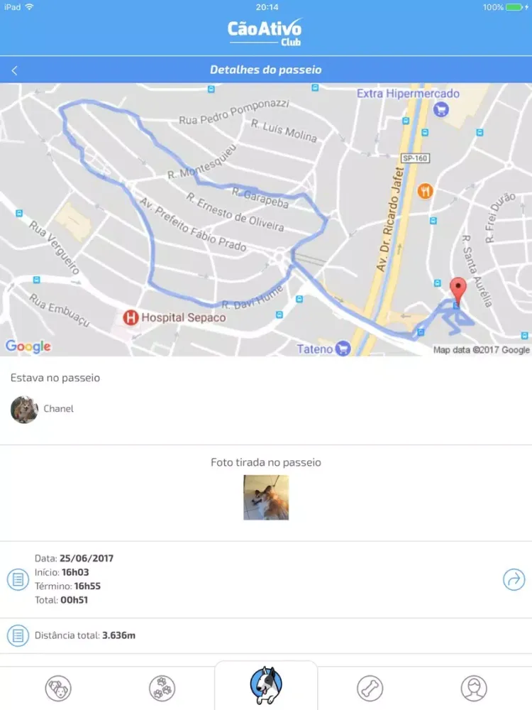 CãoAtivo Club - Dog Walker iPad 应用截图