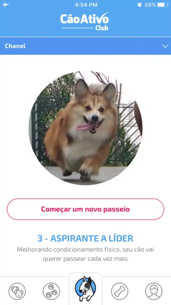 CãoAtivo Club - Dog Walker应用截图