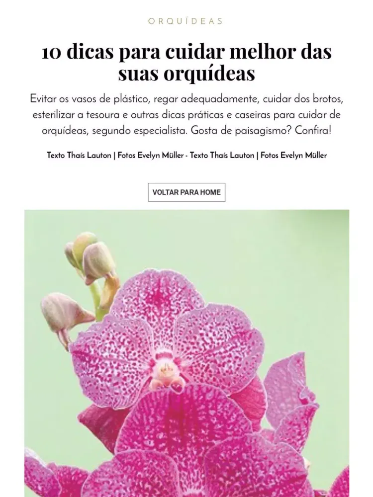 Capturas de tela do Revista Casa e Jardim iPad 