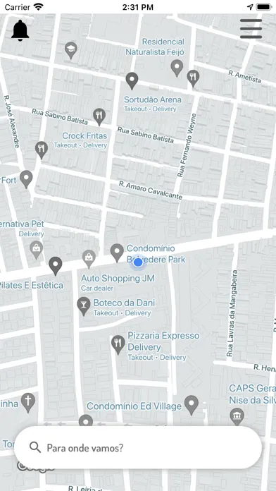 Tangkapan layar DRIVER PARÇAS Passageiro