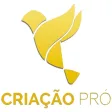 Criação Pró Criação Pró