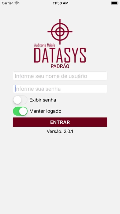 Audit DATASYS Padrão Screenshots