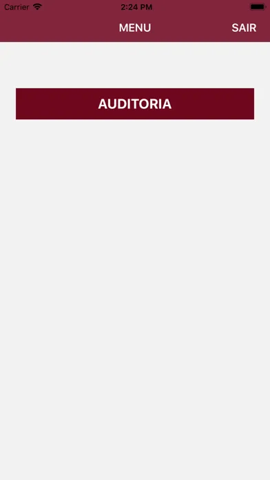 Audit DATASYS Padrão Screenshots