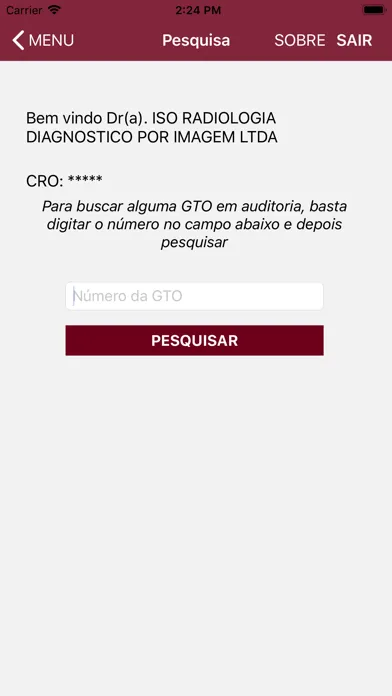 Audit DATASYS Padrão Screenshots