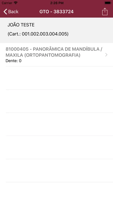 Audit DATASYS Padrão Screenshots
