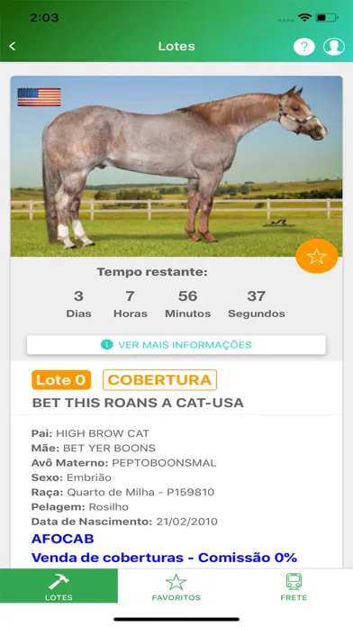 Captures d'écran de XR Leilões