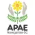 Apae Navegantes
