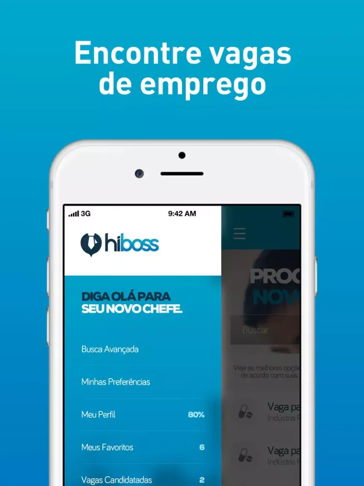 Screenshot di HiBoss iPad 