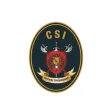 CSI Terceirização
