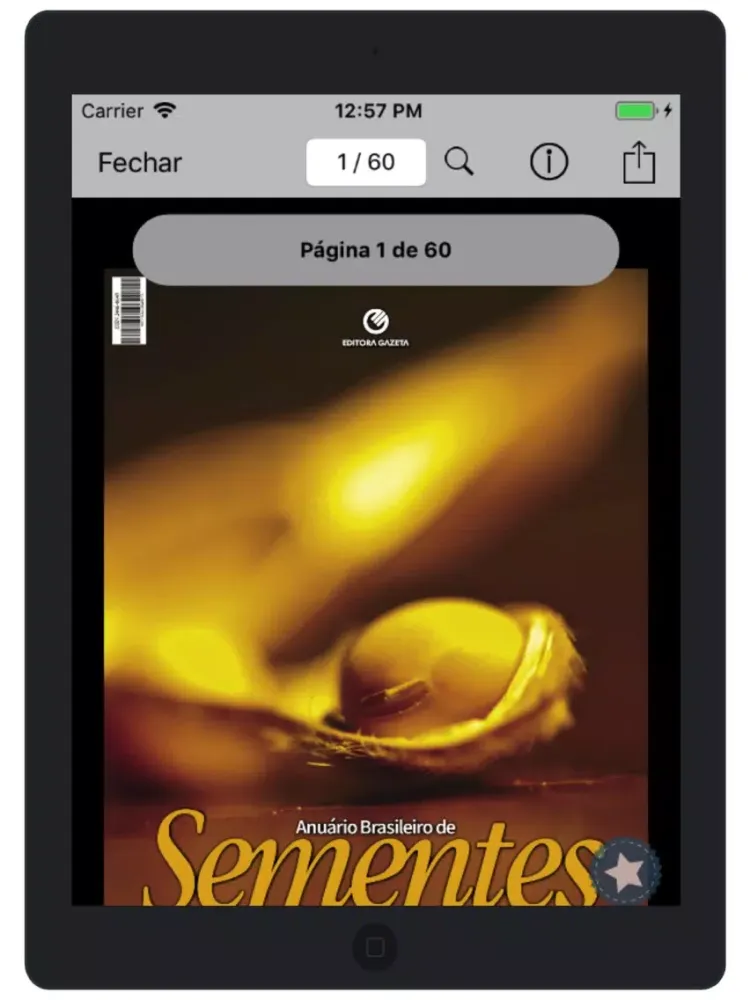 Editora Gazeta Santa Cruz iPad  スクリーンショット