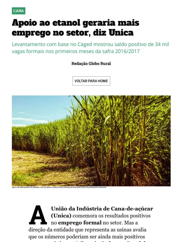 Capturas de pantalla de Revista Globo Rural iPad 