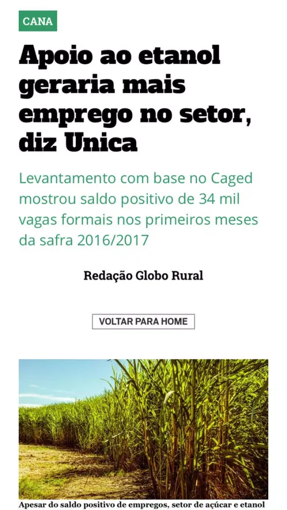 Capturas de pantalla de Revista Globo Rural