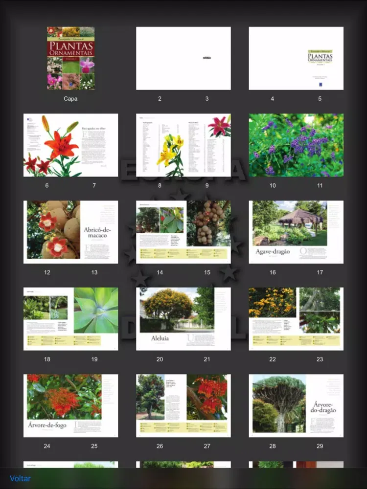صور Plantas Ornamentais - Volume 1 iPad 