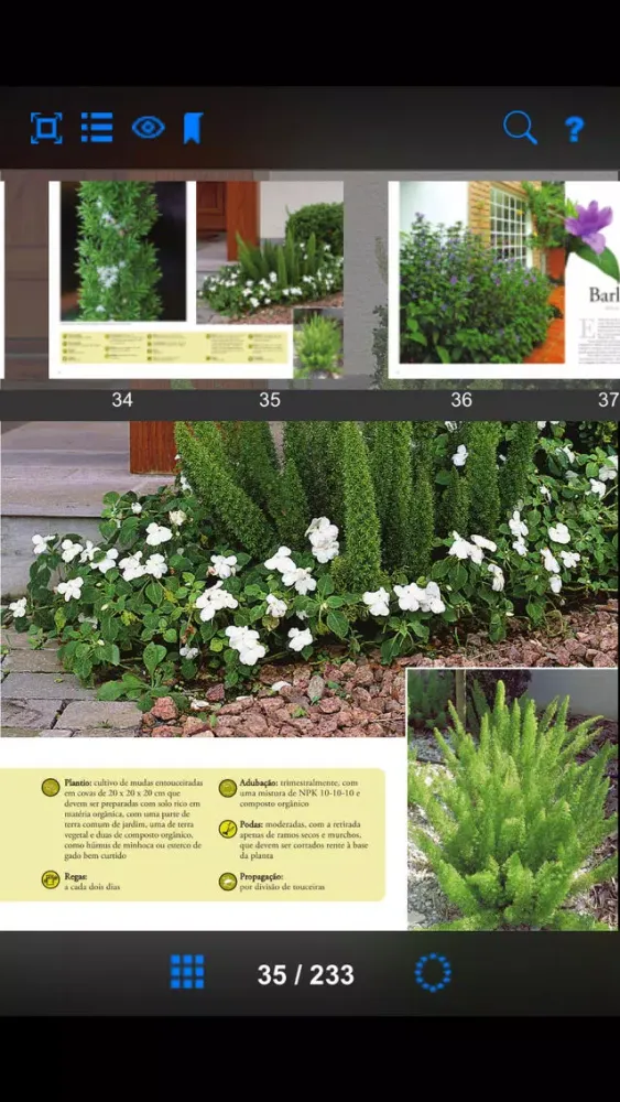 صور Plantas Ornamentais - Volume 1