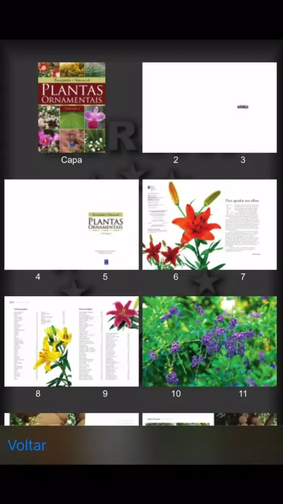 صور Plantas Ornamentais - Volume 1