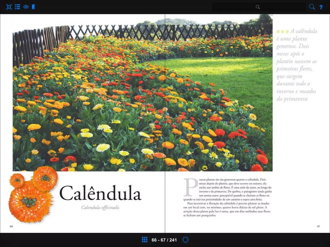 Capturas de pantalla de Plantas Ornamentais - Volume 2 iPad 