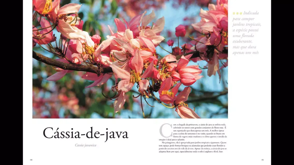 Capturas de pantalla de Plantas Ornamentais - Volume 2