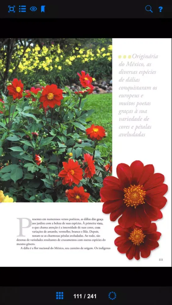 Capturas de pantalla de Plantas Ornamentais - Volume 2