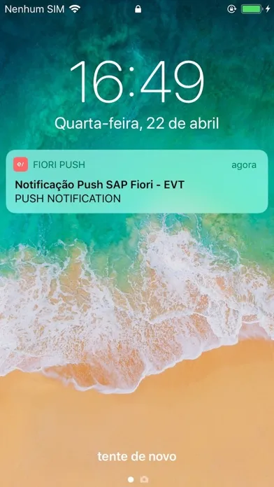 EVT Fiori Push Screenshots
