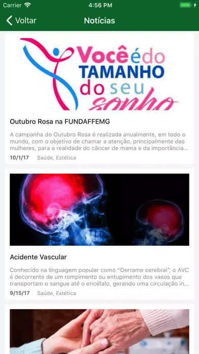 Tangkapan skrin FUNDAFFEMG - NOVO