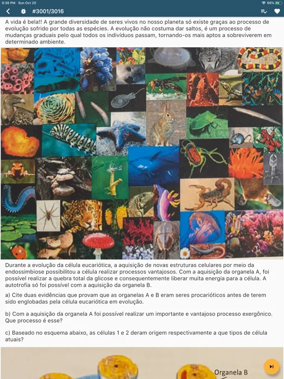 Colegio sabe isso? iPad  Screenshots