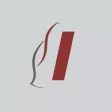 Impact Associados