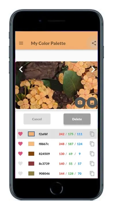 My Color Palette with Photos Screenshots