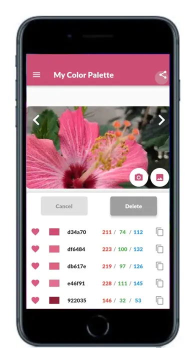 My Color Palette with Photos Screenshots