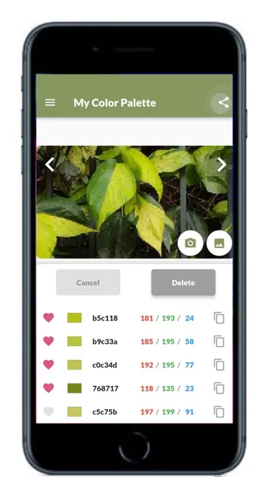My Color Palette with Photos Screenshots