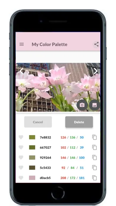 My Color Palette with Photos Screenshots