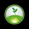 IBaViN - Ig. Batista Vida Nova IBaViN - Ig. Batista Vida Nova