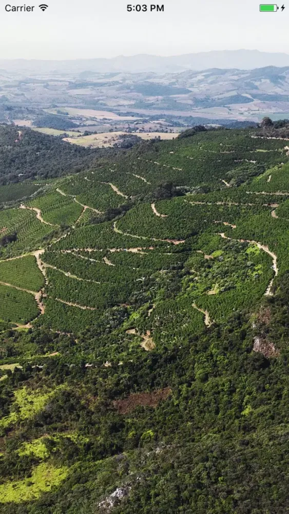 Ảnh chụp màn hình của Ipanema Premier Cru