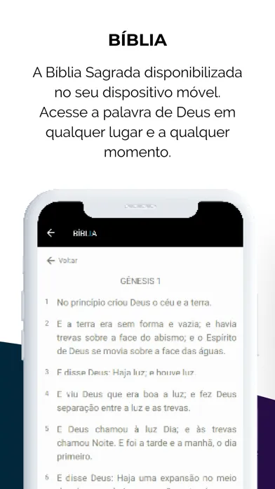 Скриншоты Videira São Paulo