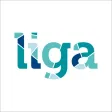 Liga Online
