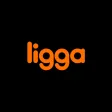 Ligga Telecom